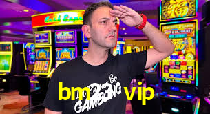 Programa VIP bm23 vip