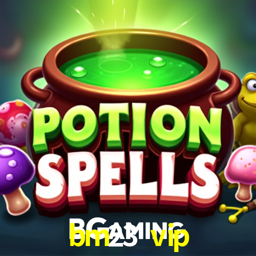 Segurança 2FA bm23 vip