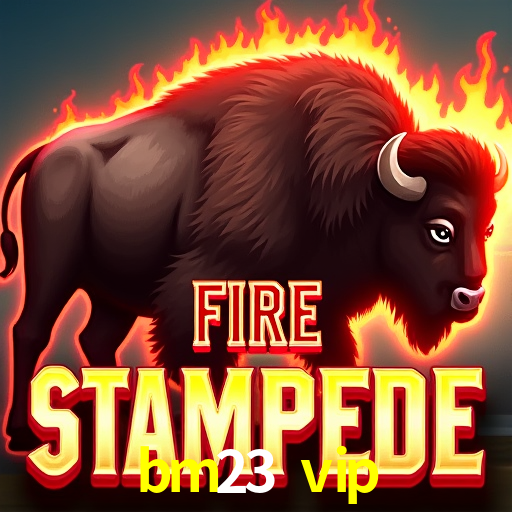 Login Seguro bm23 vip