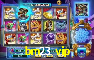 Ofertas Exclusivas bm23 vip