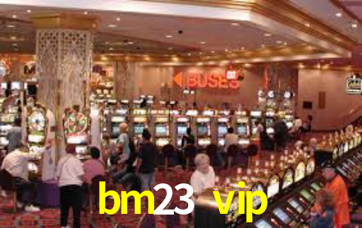 Interface do App bm23 vip